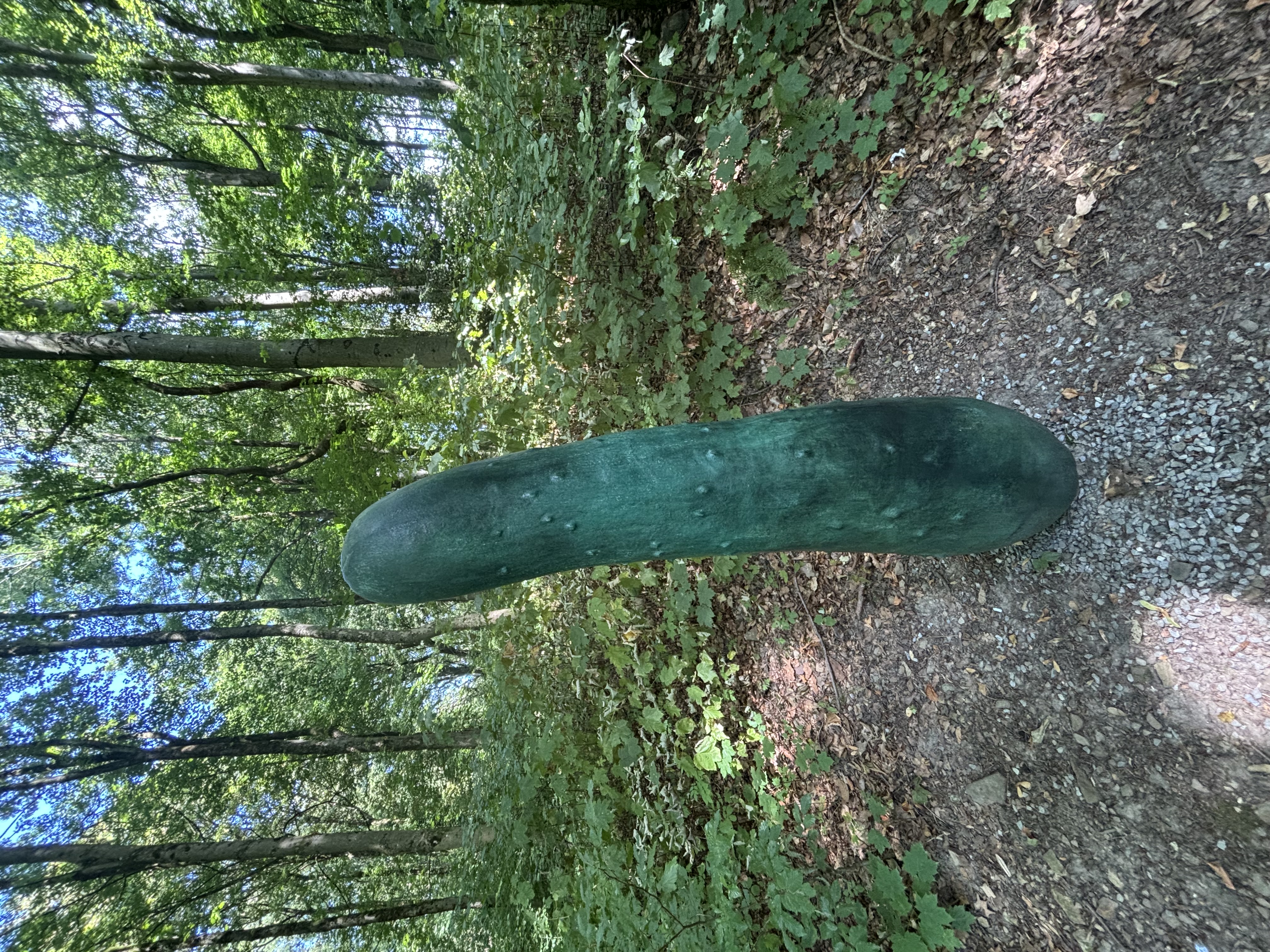  Erwin Wurm